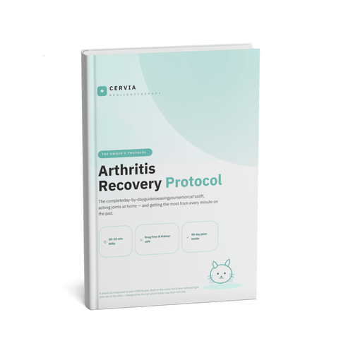CERVIA™ Arthritis Recovery Protocol