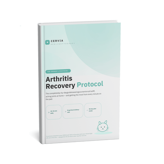 CERVIA™ Arthritis Recovery Protocol
