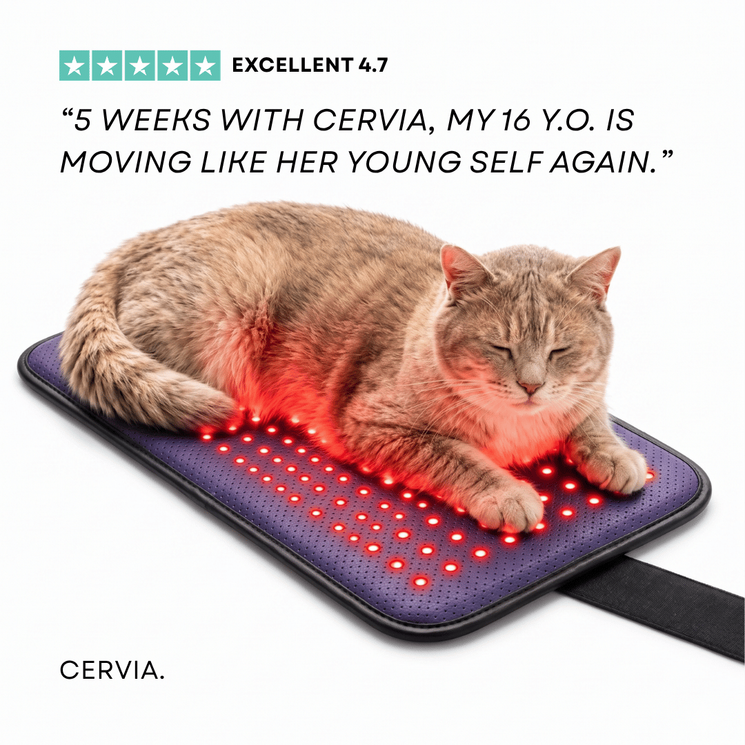 CERVIA™ Clinical Cat Red Light Pad