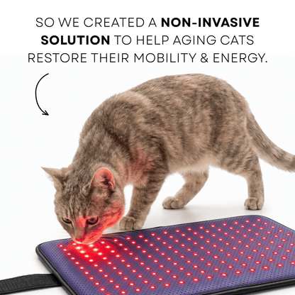 CERVIA™ Clinical Cat Red Light Pad