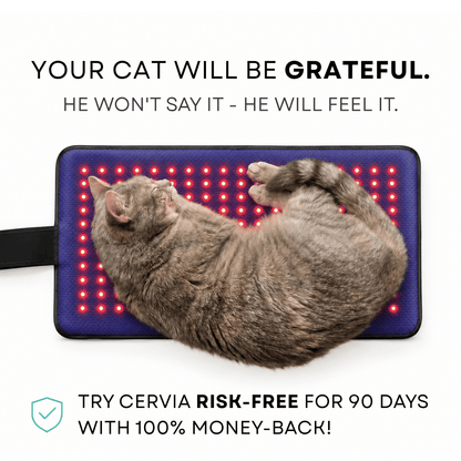 CERVIA™ Clinical Cat Red Light Pad