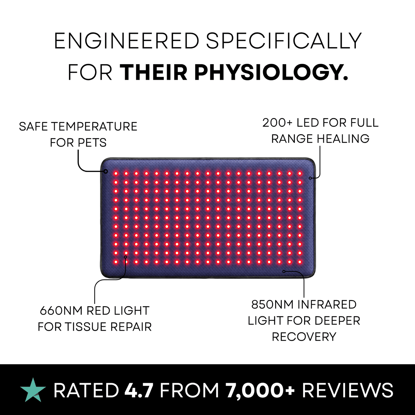 CERVIA™ Clinical Cat Red Light Pad