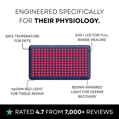 CERVIA™ Clinical Cat Red Light Pad